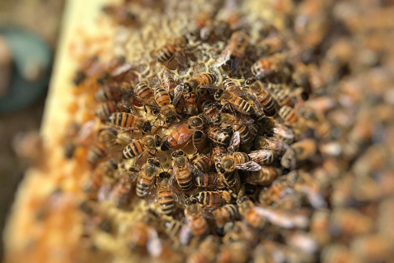 The Hive Stefy'S Apartment Iglesias Ngoại thất bức ảnh